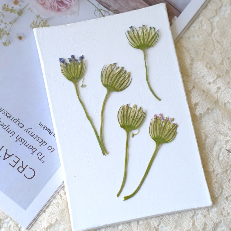 12 Stück Gepresste Smaragd-Per – Dried Flower Bookmark Bewertung und Preis
