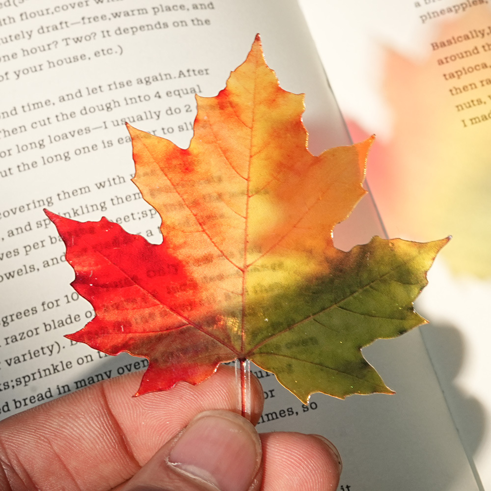 Neues Zartes Blätter-Lesezeich – Dried Flower Bookmark Bewertung und Preis